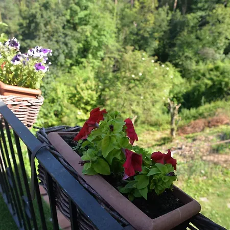 Masia Rural El Pati En Дом отдыха *