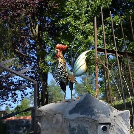 Дом отдыха Masia Rural El Pati En Borreda